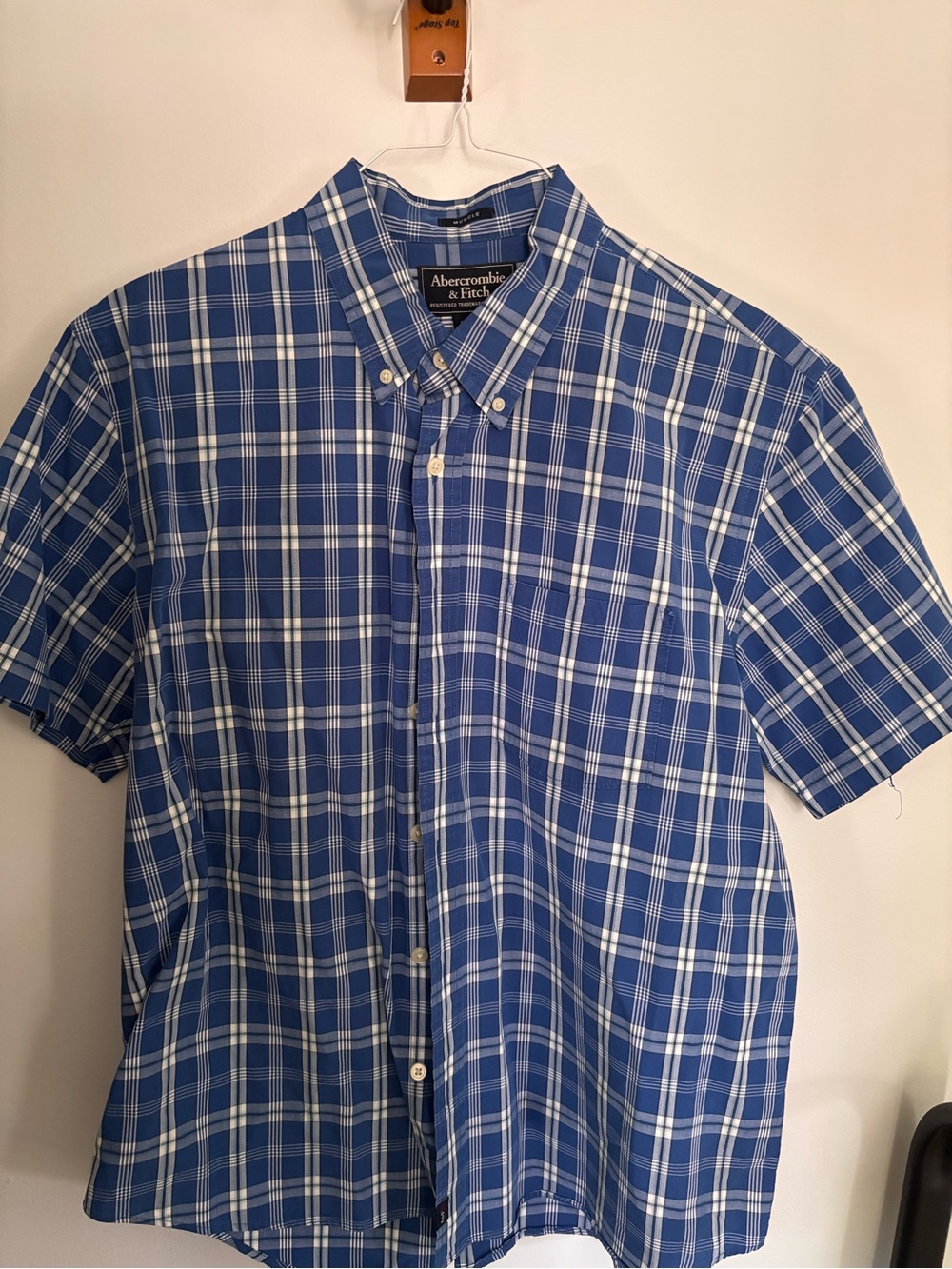 Abercrombie & Fitch Blue and White Plaid Short-Sleeve Shirt Fits like L